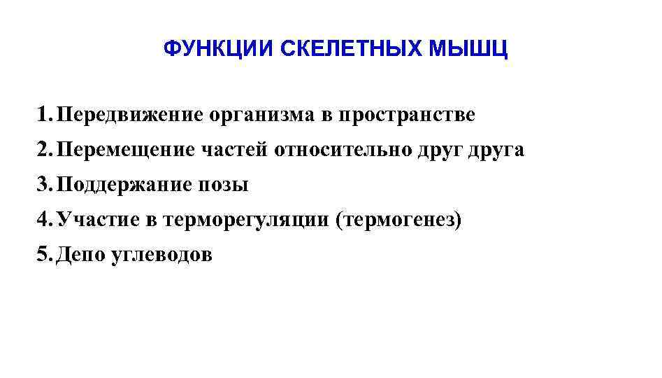 ФУНКЦИИ СКЕЛЕТНЫХ МЫШЦ 1. Передвижение организма в пространстве 2. Перемещение частей относительно друга 3.