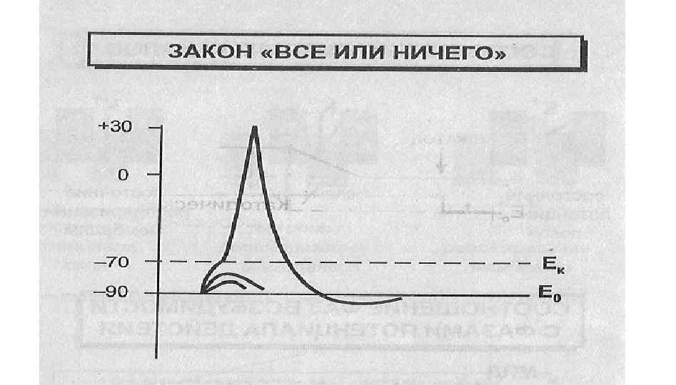 Все или ничего схема