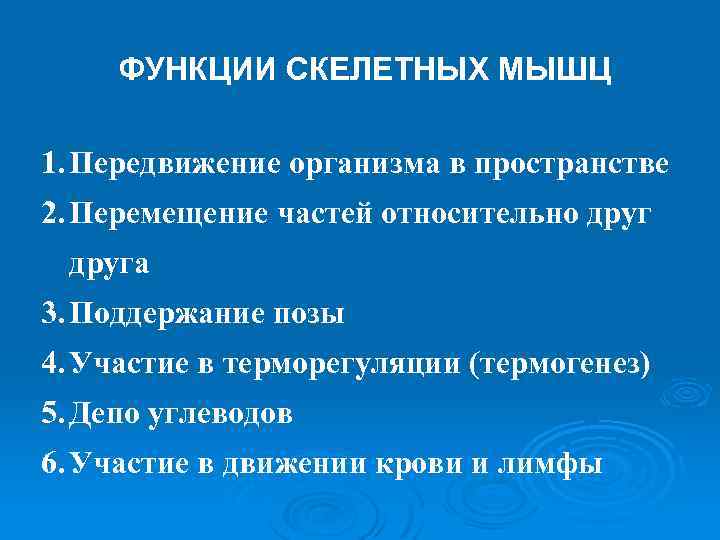 ФУНКЦИИ СКЕЛЕТНЫХ МЫШЦ 1. Передвижение организма в пространстве 2. Перемещение частей относительно друга 3.