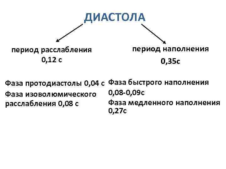 ДИАСТОЛА период расслабления 0, 12 с период наполнения 0, 35 с Фаза протодиастолы 0,