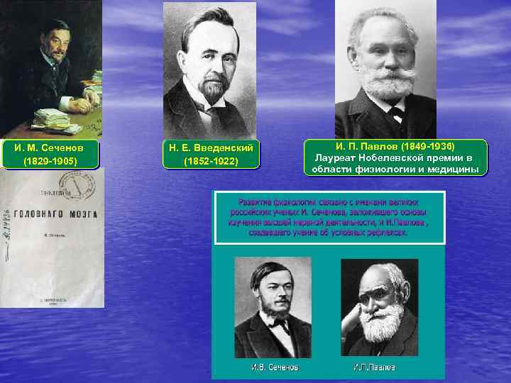 И. М. Сеченов (1829 -1905) Н. Е. Введенский (1852 -1922) И. П. Павлов (1849