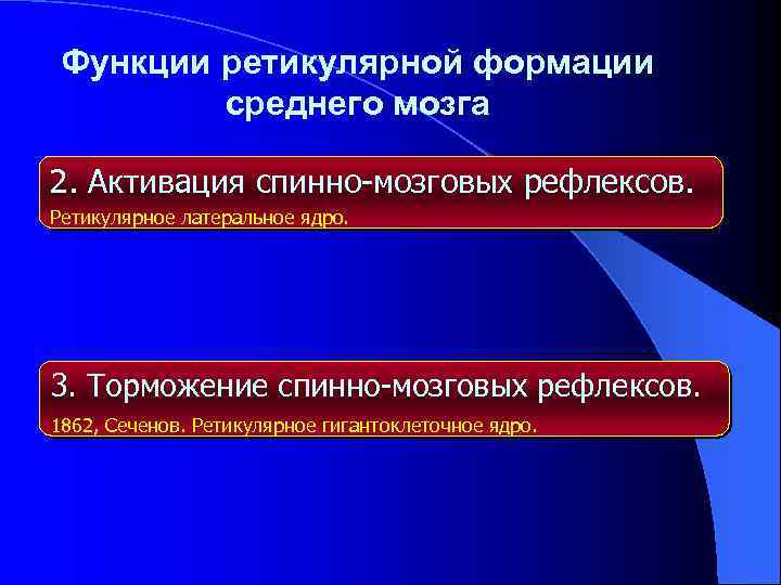 Функции ретикулярной формации среднего мозга 2. Активация спинно-мозговых рефлексов. Ретикулярное латеральное ядро. 3. Торможение