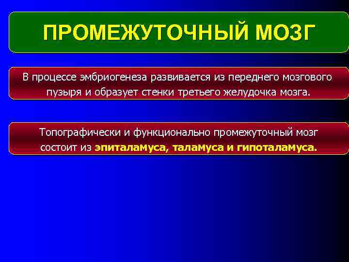 ПРОМЕЖУТОЧНЫЙ МОЗГ В процессе эмбриогенеза развивается из переднего мозгового пузыря и образует стенки третьего