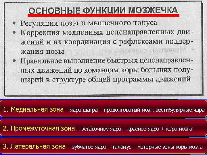 1. Медиальная зона – ядро шатра – продолговатый мозг, вестибулярные ядра 2. Промежуточная зона