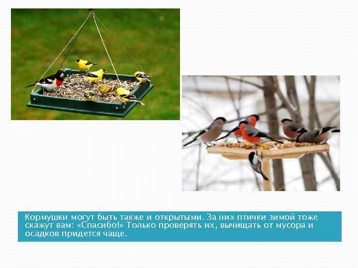 Кормушки могут быть также и открытыми. За них птички зимой тоже скажут вам: «Спасибо!»