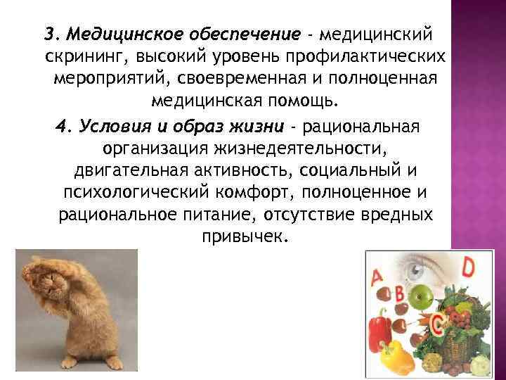 3. Медицинское обеспечение - медицинский скрининг, высокий уровень профилактических мероприятий, своевременная и полноценная медицинская