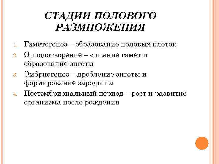 СТАДИИ ПОЛОВОГО РАЗМНОЖЕНИЯ 1. 2. 3. 4. Гаметогенез – образование половых клеток Оплодотворение –