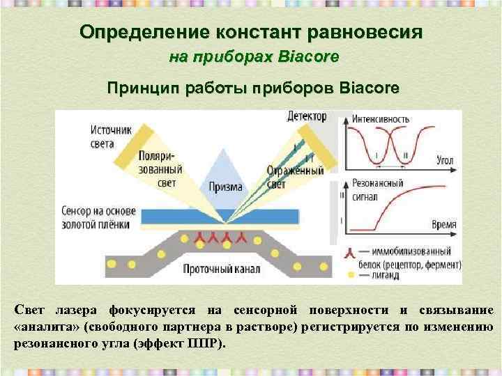 Определение констант равновесия на приборах Biacore Принцип работы приборов Biacore Свет лазера фокусируется на