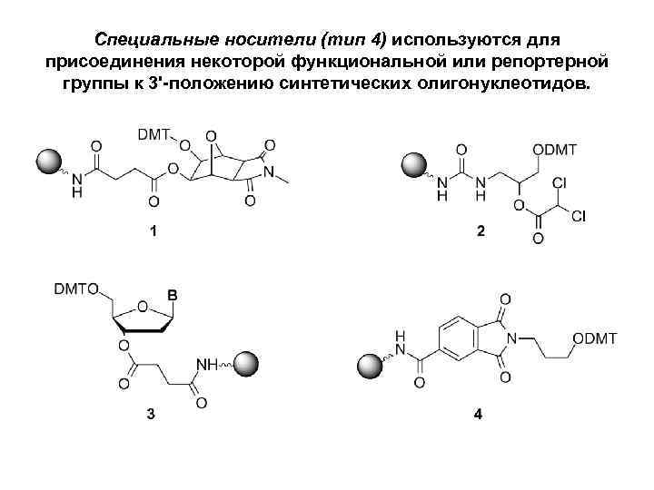 Специальные носители (тип 4) используются для присоединения некоторой функциональной или репортерной группы к 3'-положению