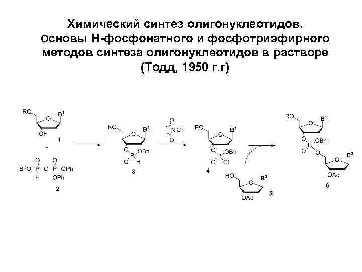 Химический синтез олигонуклеотидов. Основы H-фосфонатного и фосфотриэфирного методов синтеза олигонуклеотидов в растворе (Тодд, 1950