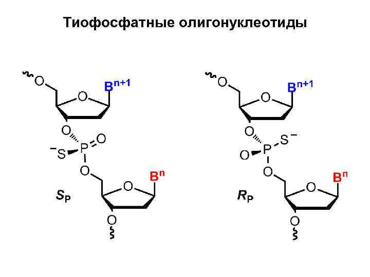 Тиофосфатные олигонуклеотиды 