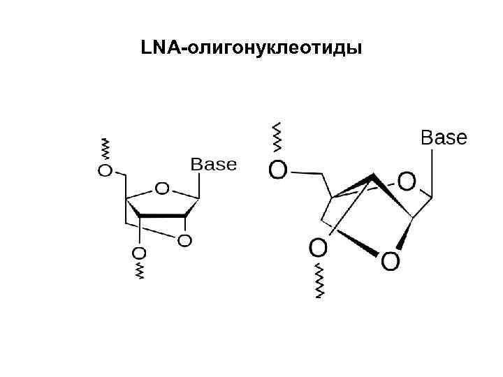 LNA-олигонуклеотиды 