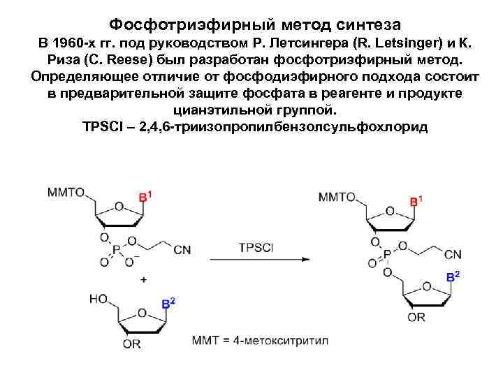 Синтез гена. Фосфодиэфирный метод синтеза олигонуклеотидов. Фосфотриэфирный метод синтеза олигонуклеотидов. Фосфорамидитный Синтез олигонуклеотидов. Химико ферментативный Синтез.