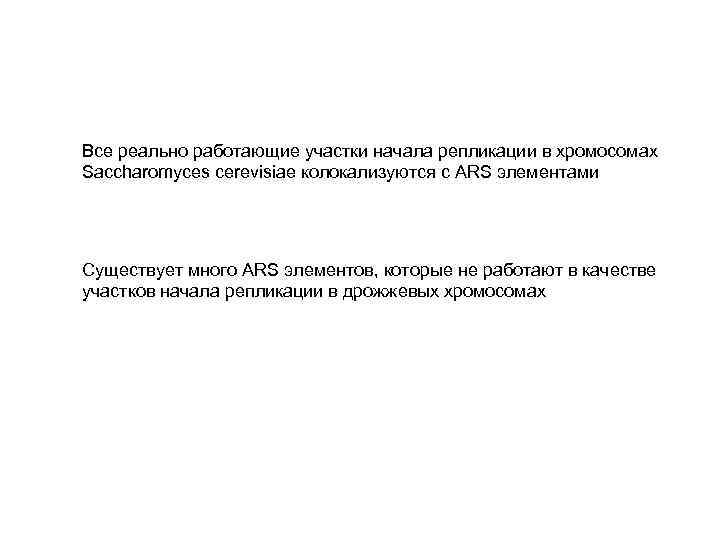 Все реально работающие участки начала репликации в хромосомах Saccharomyces cerevisiae колокализуются c ARS элементами