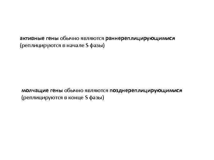 активные гены обычно являются раннереплицирующимися (реплицируются в начале S фазы) молчащие гены обычно являются