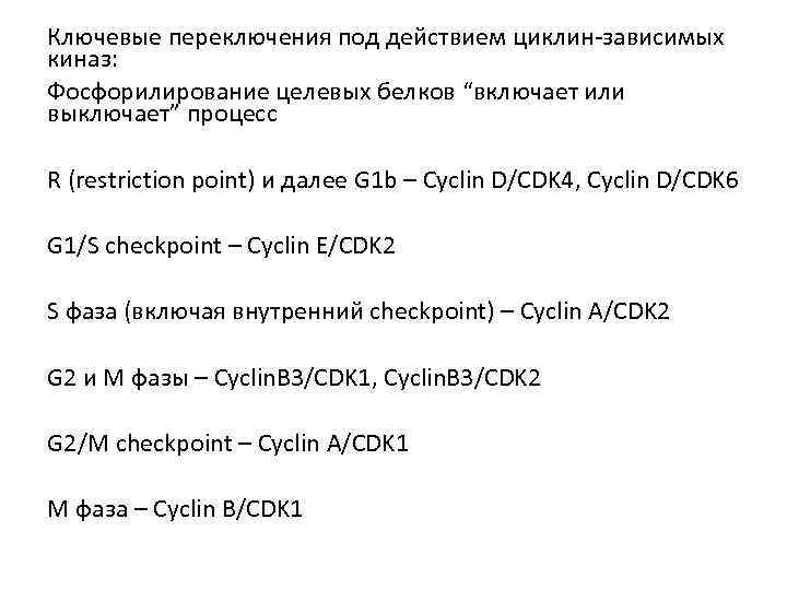 Ключевые переключения под действием циклин-зависимых киназ: Фосфорилирование целевых белков “включает или выключает” процесс R