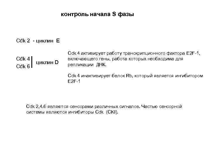 контроль начала S фазы Cdk 2 - циклин E Сdk 4 Cdk 6 циклин