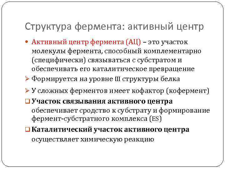 Структура фермента: активный центр Активный центр фермента (АЦ) – это участок молекулы фермента, способный