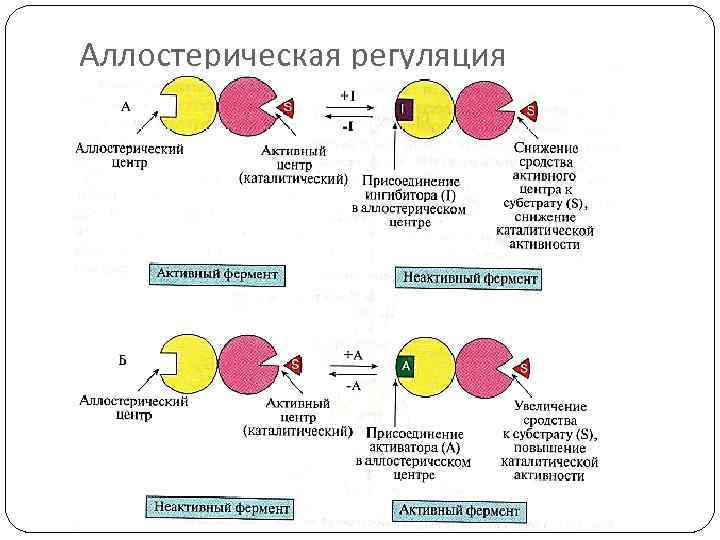 Аллостерическая регуляция 