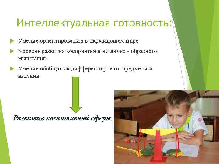 Интеллектуальная готовность: Умение ориентироваться в окружающем мире Уровень развития восприятия и наглядно - образного
