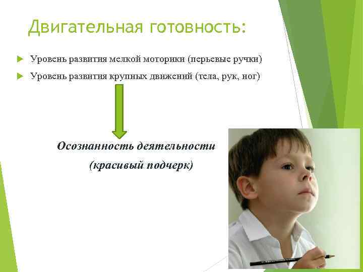 Двигательная готовность: Уровень развития мелкой моторики (перьевые ручки) Уровень развития крупных движений (тела, рук,