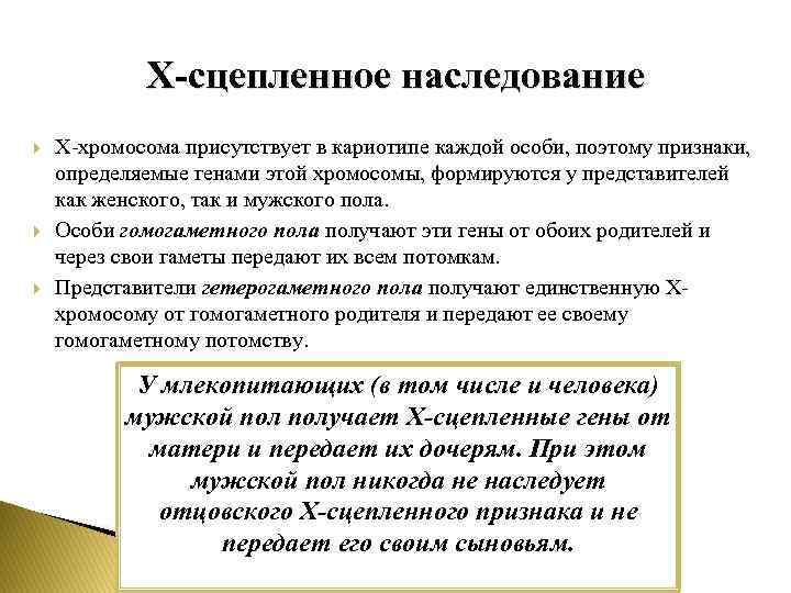 Х-сцепленное наследование Х-хромосома присутствует в кариотипе каждой особи, поэтому признаки, определяемые генами этой хромосомы,