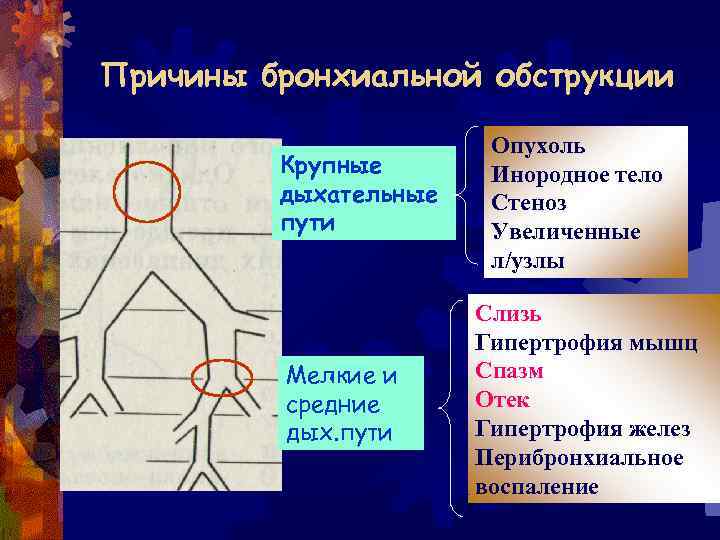 Причины бронхиальной обструкции Крупные дыхательные пути Мелкие и средние дых. пути Опухоль Инородное тело