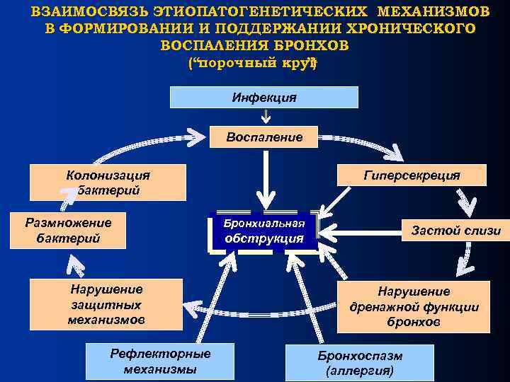 ВЗАИМОСВЯЗЬ ЭТИОПАТОГЕНЕТИЧЕСКИХ МЕХАНИЗМОВ В ФОРМИРОВАНИИ И ПОДДЕРЖАНИИ ХРОНИЧЕСКОГО ВОСПАЛЕНИЯ БРОНХОВ (“порочный круг ”) Инфекция