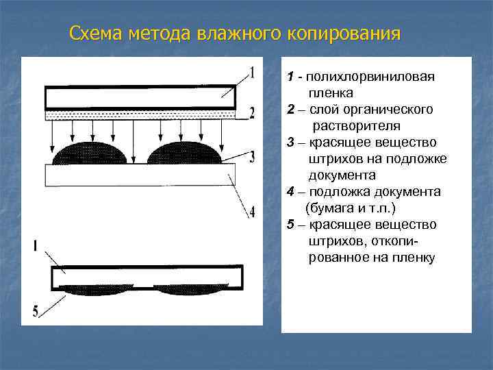 Схема метода влажного копирования 1 - полихлорвиниловая пленка 2 – слой органического растворителя 3