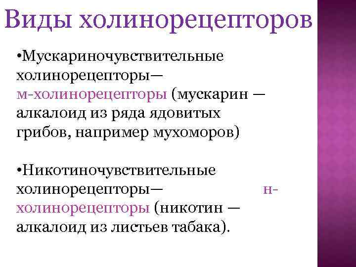 Н холинорецепторы. Мускариночувствительные холинорецепторы. Виды холинорецепторов. Типы м холинорецепторов. Виды н холинорецепторов.