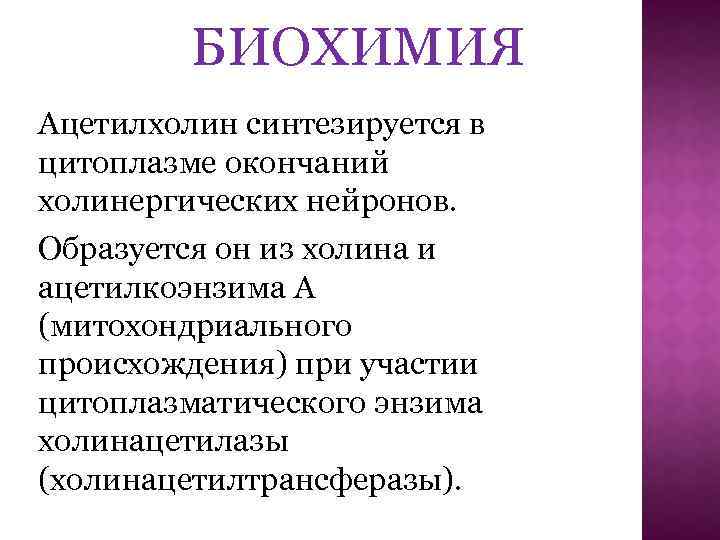 БИОХИМИЯ Ацетилхолин синтезируется в цитоплазме окончаний холинергических нейронов. Образуется он из холина и ацетилкоэнзима