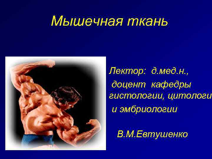 Мышечная ткань • Лектор: д. мед. н. , • доцент кафедры гистологии, цитологии •