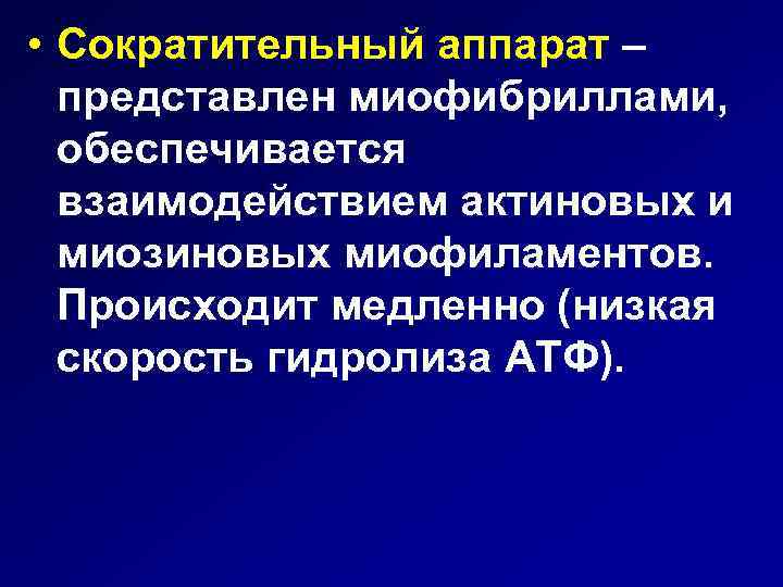  • Сократительный аппарат – представлен миофибриллами, обеспечивается взаимодействием актиновых и миозиновых миофиламентов. Происходит