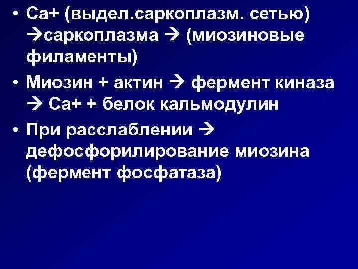  • Ca+ (выдел. саркоплазм. сетью) саркоплазма (миозиновые филаменты) • Миозин + актин фермент