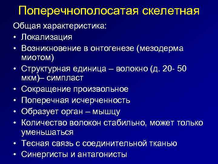Поперечнополосатая скелетная Общая характеристика: • Локализация • Возникновение в онтогенезе (мезодерма миотом) • Структурная