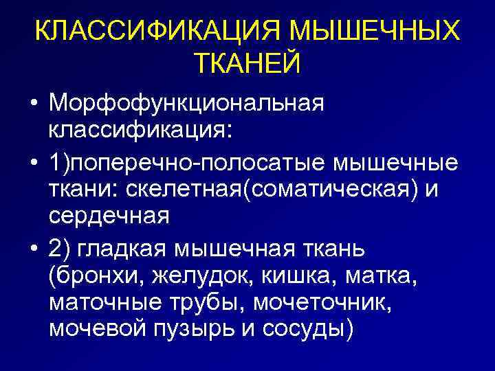 КЛАССИФИКАЦИЯ МЫШЕЧНЫХ ТКАНЕЙ • Морфофункциональная классификация: • 1)поперечно-полосатые мышечные ткани: скелетная(соматическая) и сердечная •