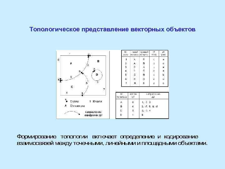 Топологическое представление векторных объектов 