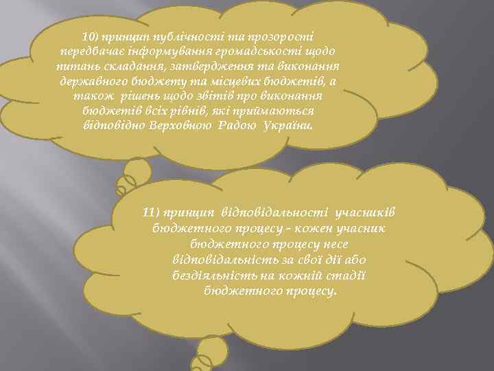 10) принцип публічності та прозорості передбачає інформування громадськості щодо питань складання, затвердження та виконання