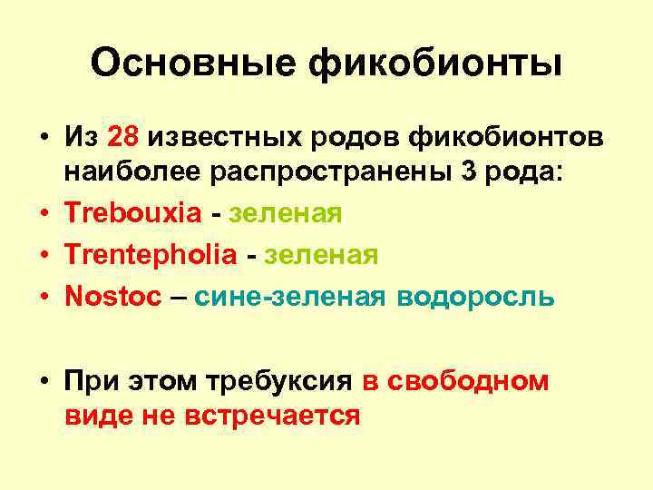 Основные фикобионты • Из 28 известных родов фикобионтов наиболее распространены 3 рода: • Trebouxia