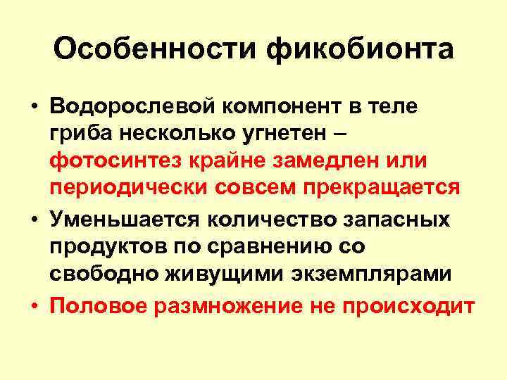 Особенности фикобионта • Водорослевой компонент в теле гриба несколько угнетен – фотосинтез крайне замедлен
