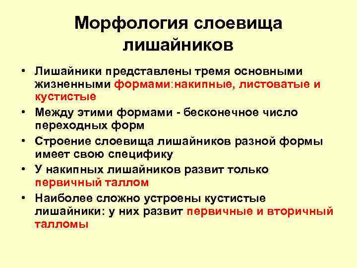 Морфология слоевища лишайников • Лишайники представлены тремя основными жизненными формами: накипные, листоватые и кустистые
