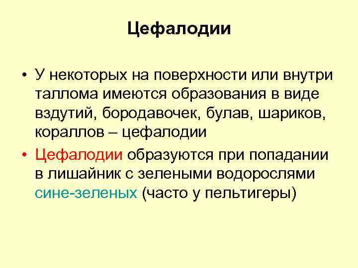 Цефалодии • У некоторых на поверхности или внутри таллома имеются образования в виде вздутий,