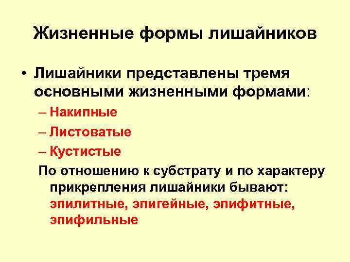 Жизненные формы лишайников • Лишайники представлены тремя основными жизненными формами: – Накипные – Листоватые