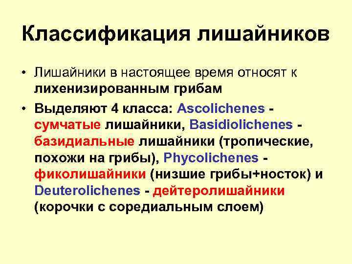 Классификация лишайников • Лишайники в настоящее время относят к лихенизированным грибам • Выделяют 4
