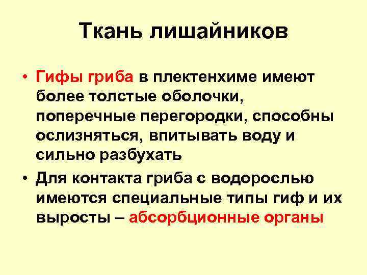 Ткань лишайников • Гифы гриба в плектенхиме имеют более толстые оболочки, поперечные перегородки, способны
