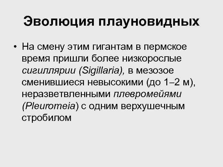 Эволюция плауновидных • На смену этим гигантам в пермское время пришли более низкорослые сигиллярии