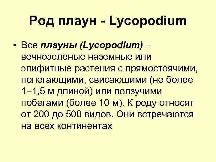 Род плаун - Lycopodium • Все плауны (Lycopodium) вечнозеленые наземные или эпифитные растения с