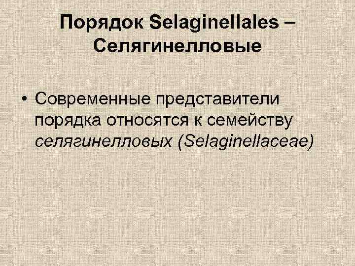 Порядок Selaginellales Селягинелловые • Современные представители порядка относятся к семейству селягинелловых (Selaginellaceae) 