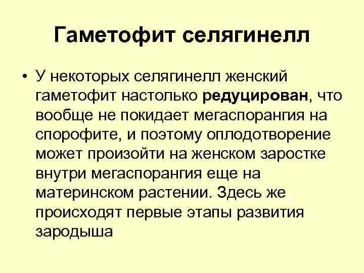 Гаметофит селягинелл • У некоторых селягинелл женский гаметофит настолько редуцирован, что вообще не покидает