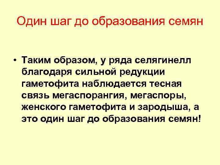 Один шаг до образования семян • Таким образом, у ряда селягинелл благодаря сильной редукции